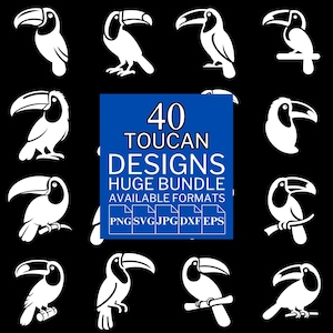 40 Toucan SVG Bundle - Unique Vector Files for Cricut and Silhouette, Toucan Clipart, Toucan Designs, 5 Available Format