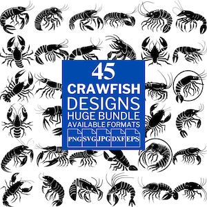 45 Crawfish SVG Bundle - Unique Vector Files for Cricut and Silhouette, Crawfish Clipart, Crawfish Designs, 5 Available Format