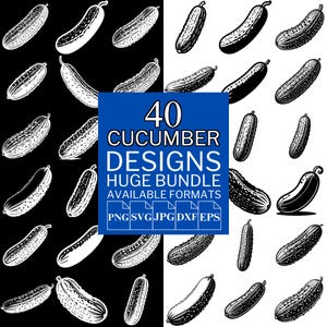 Lot de 40 concombres SVG - fichiers vectoriels uniques pour Cricut et Silhouette, clipart concombre, dessins de concombre, 5 formats disponibles