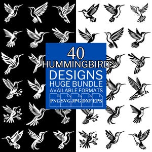 40 Hummingbird SVG Bundle - Unique Vector Files for Cricut and Silhouette, Hummingbird Clipart, Hummingbird Designs, 5 Available Format