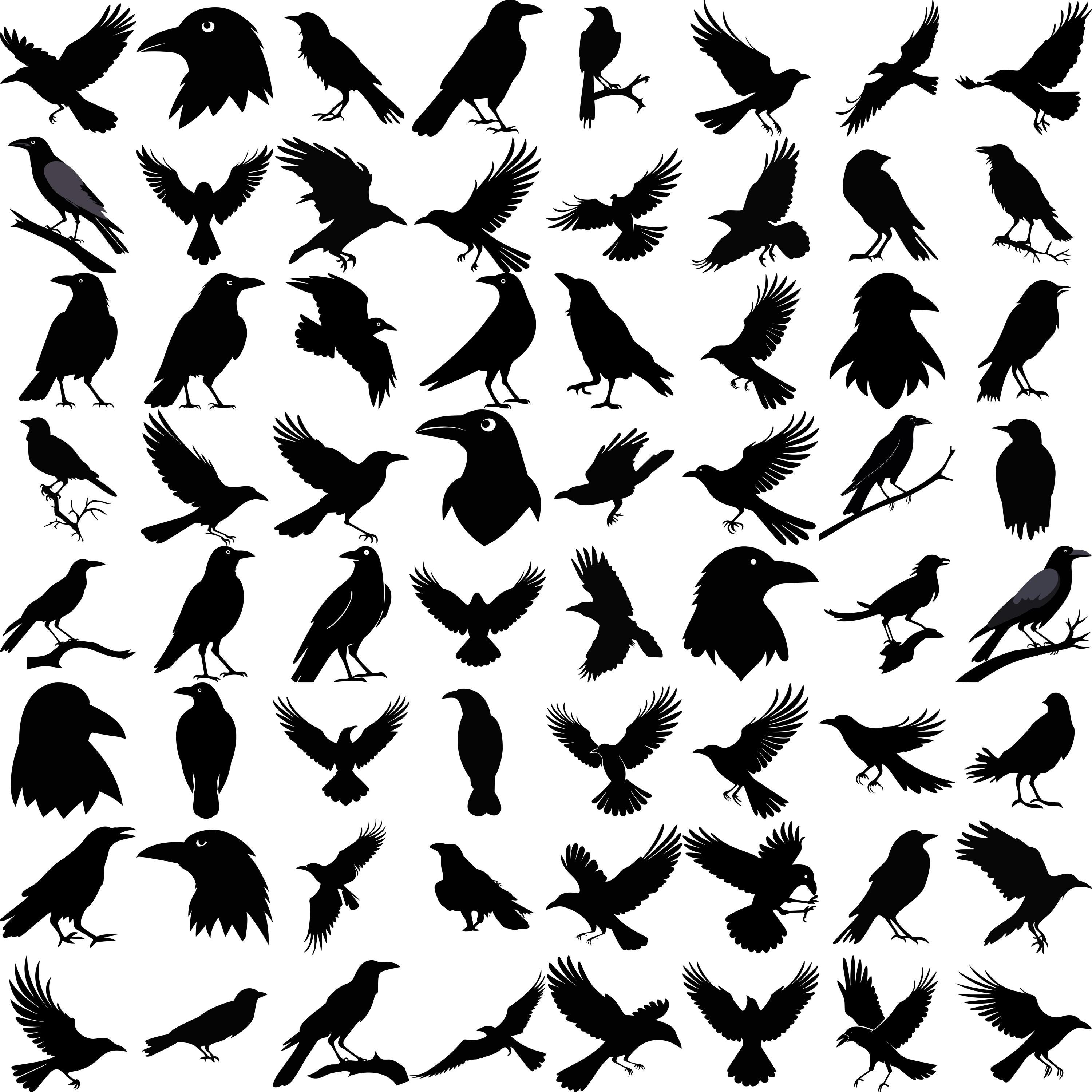 Crow SVG Bundle: 196 Vector Designs for Cricut & Silhouette (digital ...