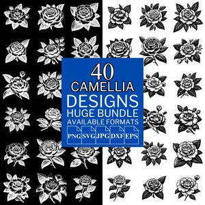 40 Camellia SVG Bundle - Unique Vector Files for Cricut and Silhouette, Camellia Clipart, Camellia Designs, 5 Available Format