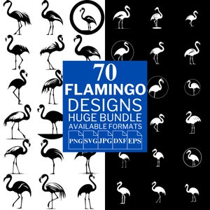Flamingo SVG Bundle: 70 Unique Vector Designs (Digital Download)