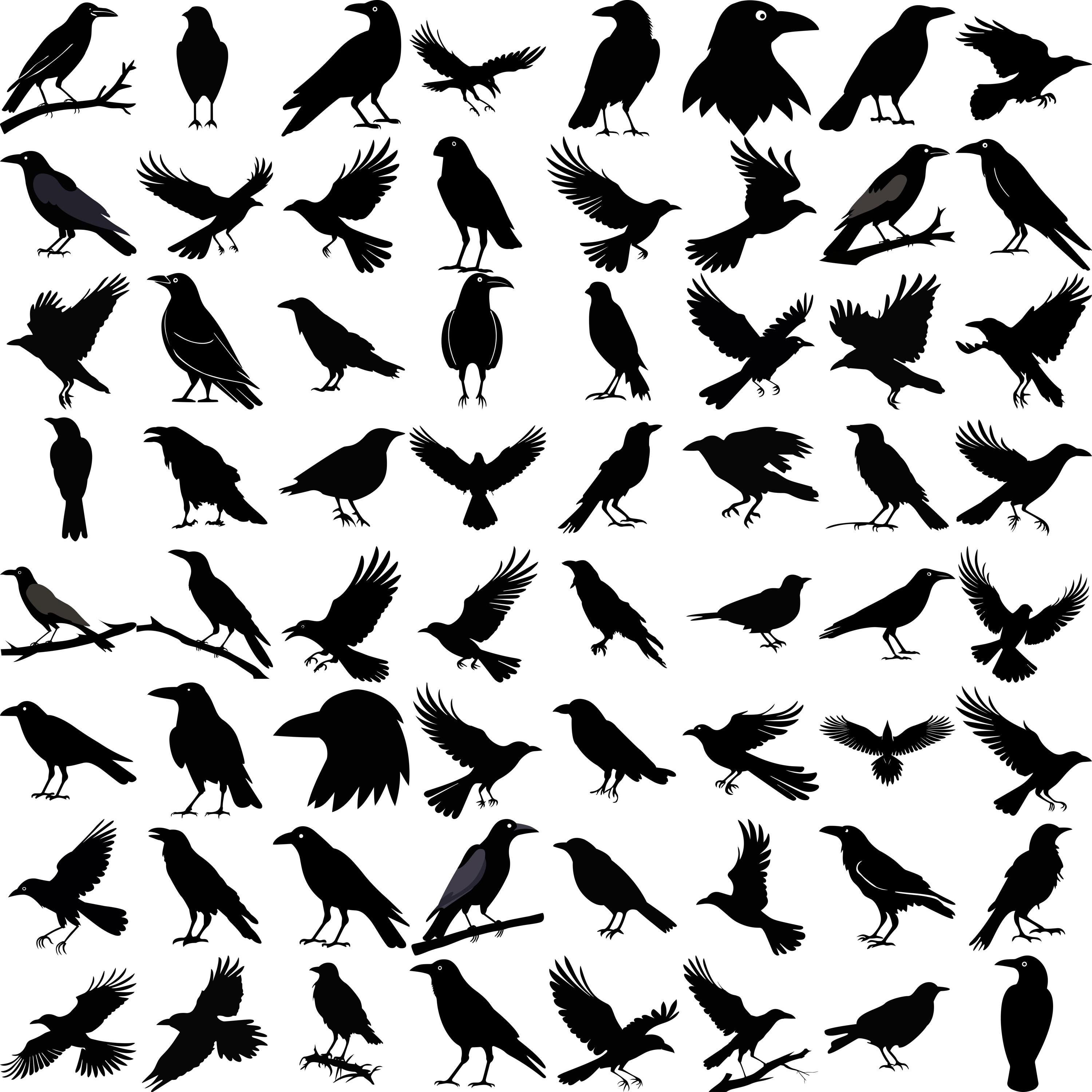 Crow SVG Bundle: 196 Vector Designs for Cricut & Silhouette (digital ...