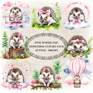 Pacote de clipart com tema de ouriço rosa da floresta, flores e fauna da floresta, download digital, chá de bebê, decoração de berçário, scrapbooking, convites