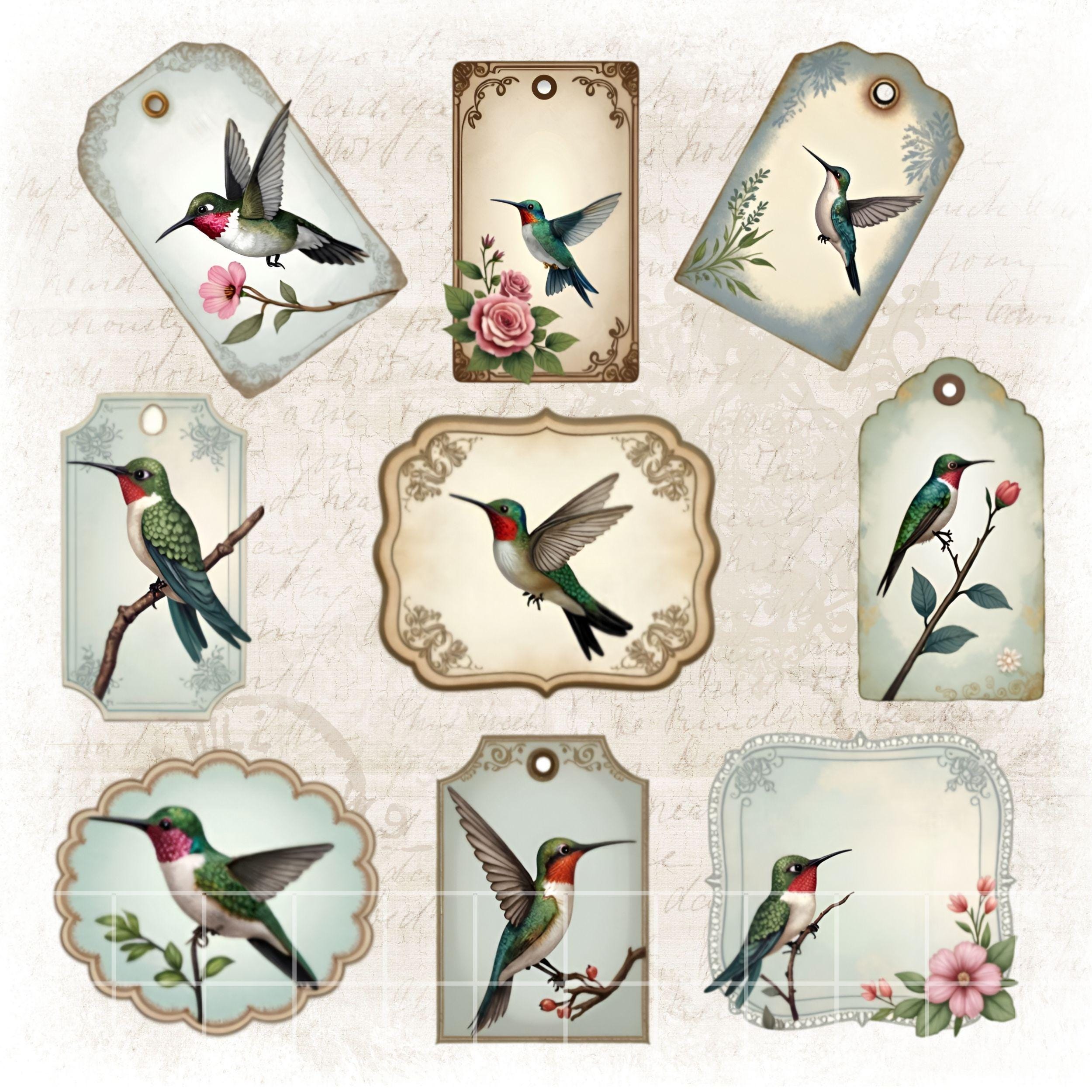 Vintage Hummingbird Clipart, Junk Journal Tags & Labels, Hummingbirds ...