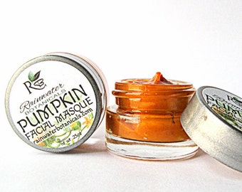 Pumpkin Facial Mask Antioxidants and Enzymes