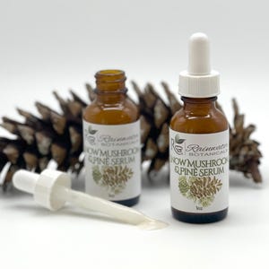 Rainwater Botanicals Snow Mushroom & Pine Serum