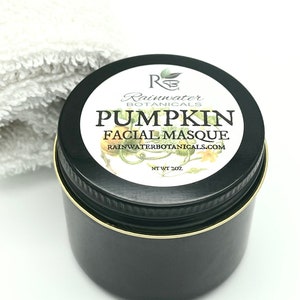 Pumpkin Facial Masque image 4