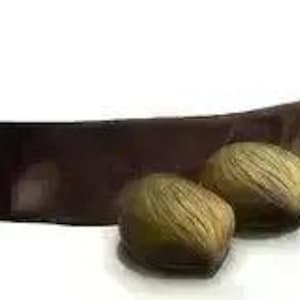 -  Hair Repair and Shine Serum with Copaiba oil and Pracaxi oil-Rainwater Botanicals