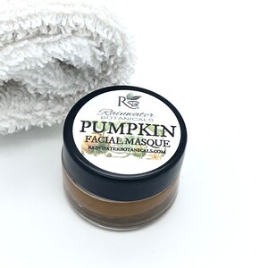 Pumpkin Facial Masque image 5