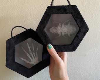 X-Ray Light Box