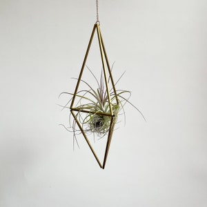 Lg. Geometric Himmeli Hanger long diamond w/ plant