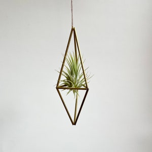 Med. Geometric Himmeli Hanger long diamond with plant