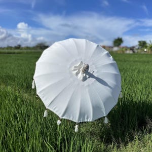Könnte beinhalten: Ein weißer Sonnenschirm mit Holzgriff und dekorativen Quasten. Der Sonnenschirm ist geöffnet und zeigt seine runde Form und den plissierten Stoff. Der Hintergrund zeigt ein grünes Feld und einen blauen Himmel mit Wolken.