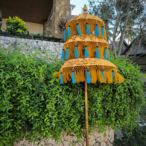 May include: A yellow and blue tiered umbrella with tassels hanging from the bottom. The umbrella is standing upright against a green leafy wall.