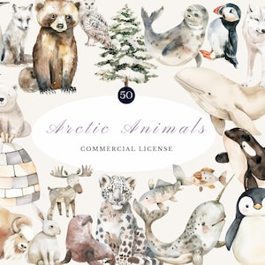 Arctic Animals Watercolor Clipart Bundle | 50 Winter Wildlife Illustrations with Commercial License | Digital Art for Nursery & Crafts