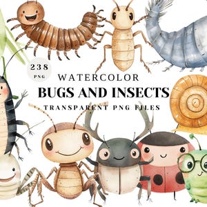 Aquarell Käfer und Insekten Clipart | Süße Käfer Illustrationen PNG | Schnecken, Marienkäfer und Heuschrecken | Transparente digitale Dateien zum Basteln