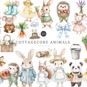 Può includere: Un set di 50 illustrazioni ad acquerello con animali in stile cottagecore. Le illustrazioni includono una volpe, un riccio, un coniglio, uno scoiattolo, un panda, un'anatra, un topo e altro ancora. Gli animali sono raffigurati in uno stile fantasioso con colori pastello e accenti floreali. Le illustrazioni sono perfette per creare prodotti digitali o fisici come biglietti d'auguri, adesivi, motivi e altro ancora.