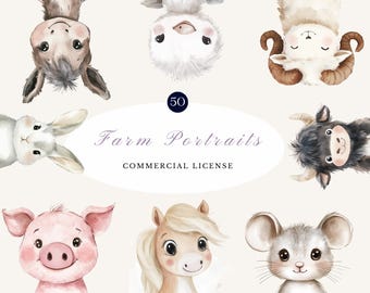 Puede incluir: Un conjunto de 50 ilustraciones de acuarela de animales de granja, que incluyen un burro, un pollito, una oveja, un toro, un conejo, un cerdo, un caballo y un ratón. Las ilustraciones son de estilo de dibujos animados y son perfectas para usar en libros para niños, tarjetas de felicitación u otros proyectos creativos. El texto en la imagen dice "Farm Portraits, Commercial License".