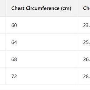 K-pop Demon Hunter Costume Dressup – Performance/party Outfit for Kids