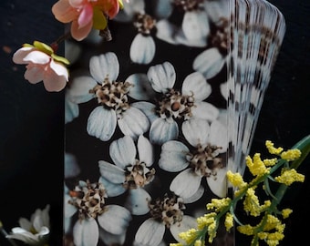 Whimsical Nature Oracle Deck with Macro Photos by Terra Petrichor