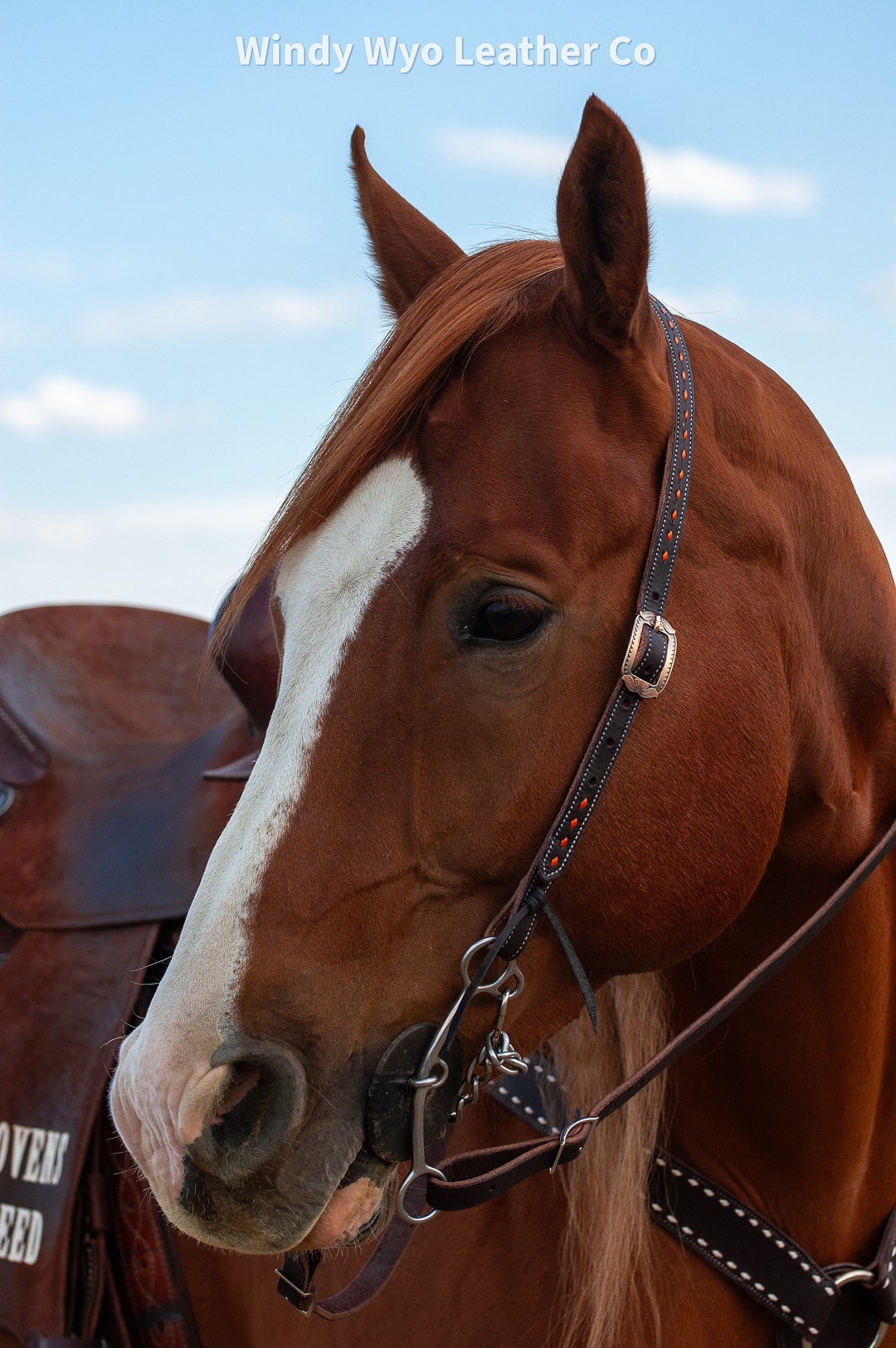Shiloh Stables and Tack: Showman ® Beaded one ear headstall. These headstalls will features a