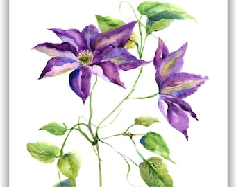 clematis note cards.  floral art. clematis watercolor cards. botanical watercolor. clematis painting. botanical stationary