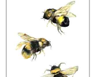 May include: Watercolor painting of three bumblebees in flight. The bees are depicted with detailed wings and bodies, showcasing black, yellow, and brown hues. The artwork is set against a clean white background, highlighting the insects.