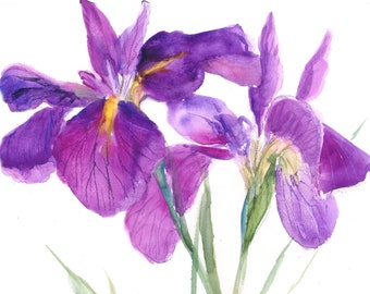 purple iris watercolor print-  iris watercolor print-  watercolor iris-  watercolor floral art- iris painting- botanical art