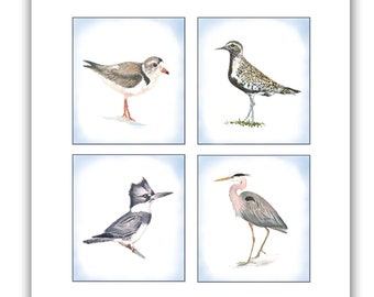 cartes de notes oiseaux de rivage en boîte - cartes d'oiseaux - art d'oiseau - aquarelles d'oiseaux de rivage - cartes de martin-pêcheur - bécasseau - grand héron bleu - cadeau d'ornithologues amateurs