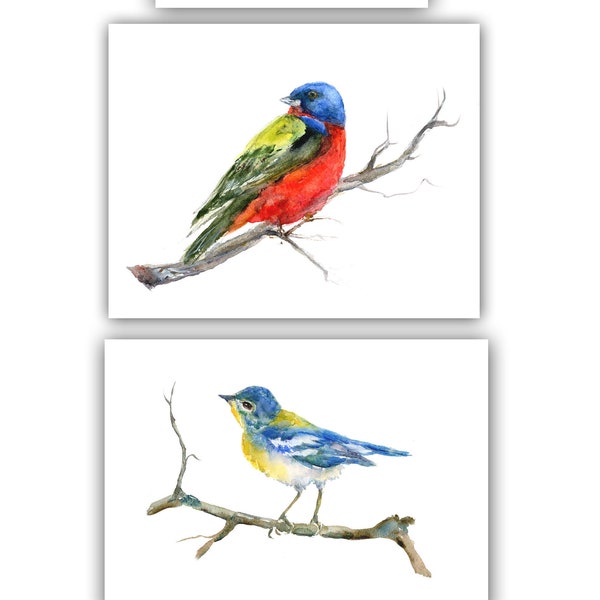 Birders notecards- woodland gift, parula thank you notecard,  bird lover gift, watercolor bird cards- painted bunting, meadowlark art card