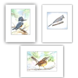 Cartes oiseaux - aquarelles oiseaux - martin-pêcheur, carte mésange, carte troglodyte - cadeau pour amoureux des oiseaux - papeterie oiseau