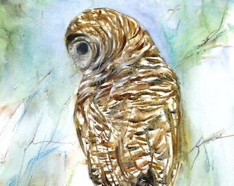 Barred owl original watercolor,  owl art,  barred owl watercolor, original owl painting, birders gift,