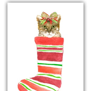 Tabby Cat in Christmas stocking Christmas cards- Christmas cat cards- funny cat Christmas cards.