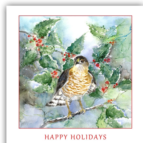 Hawk Christmas cards- Sharp-shinned Hawk holiday cards- woodland bird Christmas- Winter Solstice cards- Birders Christmas cards.