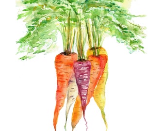 carrot print- carrot watercolor print- watercolor vegetables-  carrot watercolor-  kitchen wall art-  kitchen decor-  housewarming gift