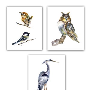 Cartes oiseaux, papeterie oiseau, cadeau forêt, cartes hibou, cartes troglodyte, cadeaux pour amoureux des oiseaux, cadeaux ornithologues amateurs, impression aquarelle héron, cartes mésange