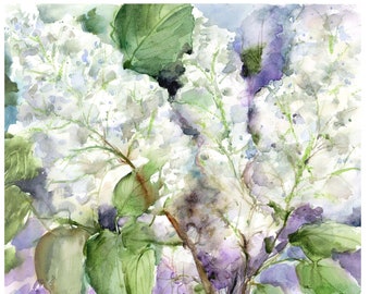 lilac watercolor -original white lilac floral art-  botanical painting- spring flower art- white lilac watercolor