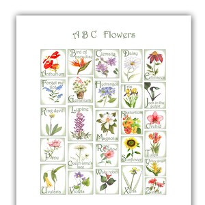 cartões de agradecimento florais - cartões de agradecimento florais - cartão de flores com alfabeto - cartão de peônias - cartões de girassóis - cartões florais em aquarela - artigos de papelaria florais.