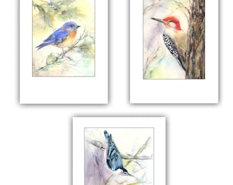 Bird note cards-  watercolor bird cards- nuthatch  card, bluebird card, woodpecker card-  bird lover gift- bird stationery