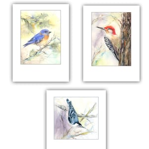 Bird note cards watercolor bird cards nuthatch card, bluebird card, woodpecker card bird lover gift bird stationery image 1