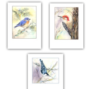 Cartes de note d'oiseau-cartes d'oiseau d'aquarelle-carte de sittelle, carte d'oiseau bleu, carte de pic-cadeau d'amant d'oiseau-papeterie d'oiseau