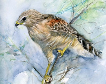 red shoulder hawk original watercolor, hawk art,  red shoulder hawk  watercolor, hawk painting,  birders gift, hawk lovers gift,