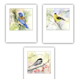 Cartes de note d'oiseau chanteur-cartes d'oiseau d'aquarelle-carte de chardonneret, carte de merle bleu, carte de mésange-cadeau d'amant d'oiseau-papeterie d'oiseau
