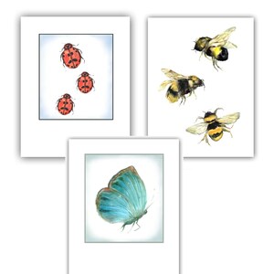 Cartes papillon- cartes aquarelle insectes- art insecte- cartes coccinelle- cartes abeille- papillon aquarelle- nature stationnaire