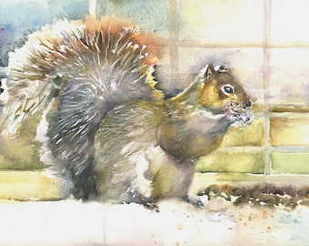 Squirrel Watercolor Notecards - Boxed Nature Art Cards