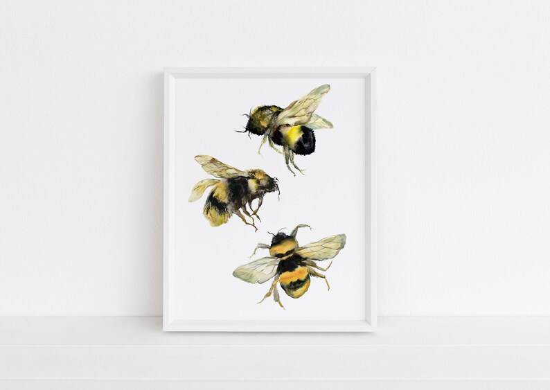 Bumble Bee Watercolor Print Bee Watercolor Bee Painting - Etsy
