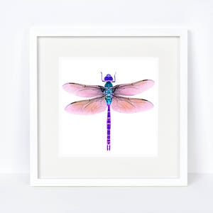 Dragonfly watercolor-  Giclee print-  violet dragonfly painting- Dragonfly watercolor painting- Original dragonfly design-  Dragonfly art.
