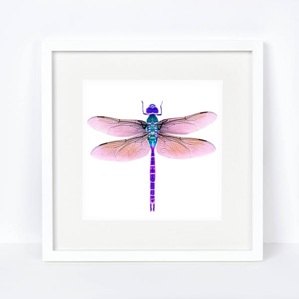 Dragonfly watercolor-  Giclee print-  violet dragonfly painting- Dragonfly watercolor painting- Original dragonfly design-  Dragonfly art.